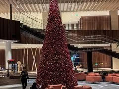 -北京望京凯悦酒店The Lounge大堂酒廊