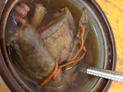 虫草花炖草鸡-禧瑞都大饭店(吊桥路店)