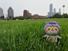-大连人民广场