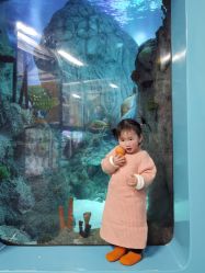 -乐兜兜儿童探索乐园(长嘉汇购物公园店)