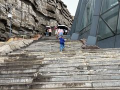 -辽宁古生物博物馆