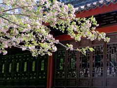 -棠湖公园