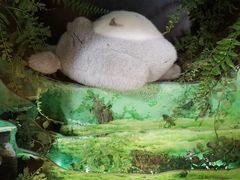 -伊豆泰迪熊博物馆
