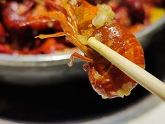 -蛙蛙叫干锅年代(簋街总店)