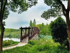 -同里国家湿地公园