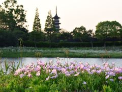 桥下-太阳岛度假酒店