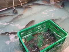 -鱼窝棚柴火铁锅炖(富山屯店)