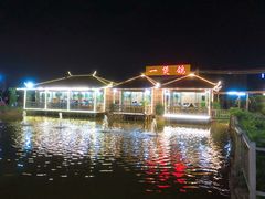-一煲鸽