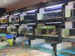 -徐记海鲜(阿波罗店)