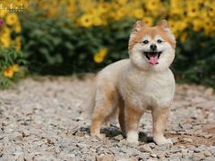 -二沙岛艺术公园