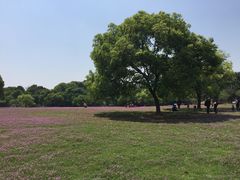 -福建鲤鱼洲酒店