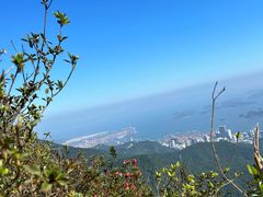 -梧桐山风景名胜区