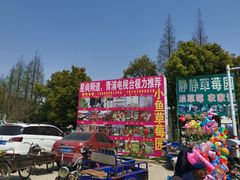 -小鱼草莓采摘园农家乐·小鱼餐厅