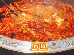 -销魂美蛙鱼头火锅(上海首店)