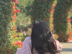 -东莞植物园
