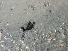 -青岛森林野生动物世界