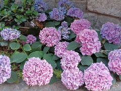 -田园印象·成都土菜院子(华阳店)