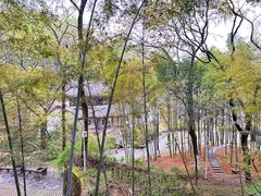 -岳麓山风景名胜区