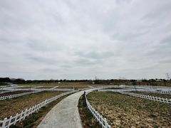 -上海杨姆庄园