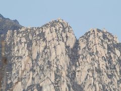 -大自然农场蔬菜草莓采摘园