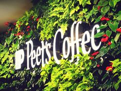-Peet's Coffee皮爷咖啡(大学路店)