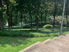 -重庆市江北嘴中央商务区中央公园