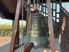 -长兴太湖图影湿地文化园