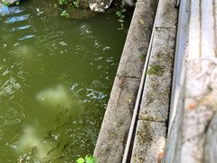 -珠海圆明新园