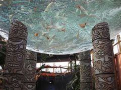 -长沙湘江欢乐雪域