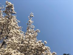 -曲阜师范大学(曲阜校区)