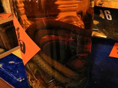 -文儒九号·闽菜馆(三坊七巷店)