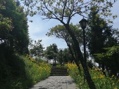 -鼓岭旅游度假区