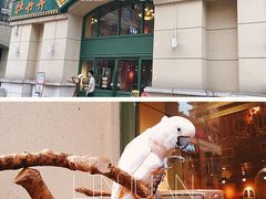 -牡丹弄·咖啡馆·酒馆(红坊里店)