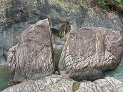 -广州白江湖森林公园