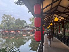 景观位-侨美·唐荔园·40年地道粤菜