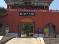 -大芦花风景区