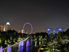 -新加坡摩天观景轮