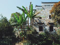 -清漾毛氏文化村