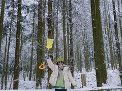 -武陵山森林公园