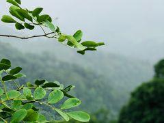 -西湖风景区十里琅珰-五云山