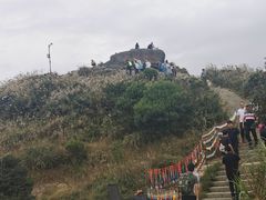 -梧桐山风景名胜区