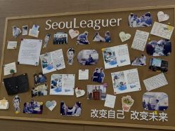 -上海首尔丽格医疗美容医院