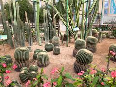 -石家庄市植物园