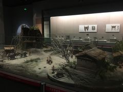 -平原博物院