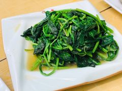 清炒菠菜-做了不起的80后