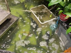-门家大院铁锅炖(东北大马路店)
