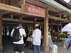 -西双版纳傣族园