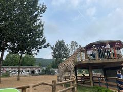 -大连森林动物园