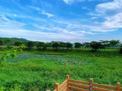 -满記土窑烧鷄波浪山莊