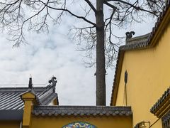 -九华山风景区月身宝殿